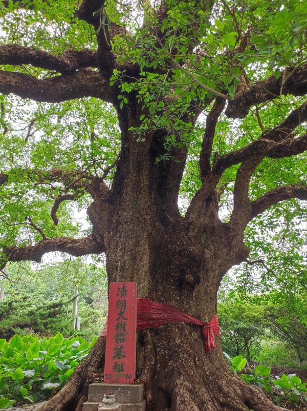 標題圖片